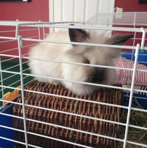 Meet your Posher, Braelynn